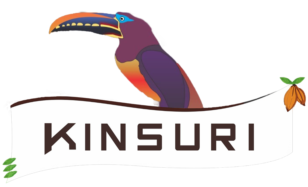 Kinsuri